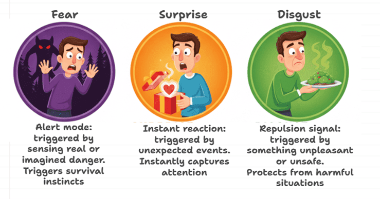 3 universal emotions